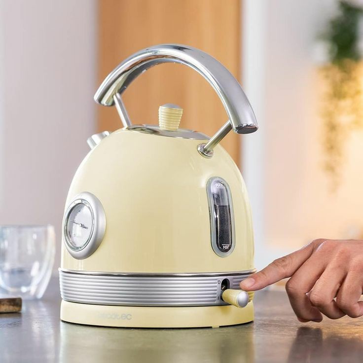 Luxury electric kettle