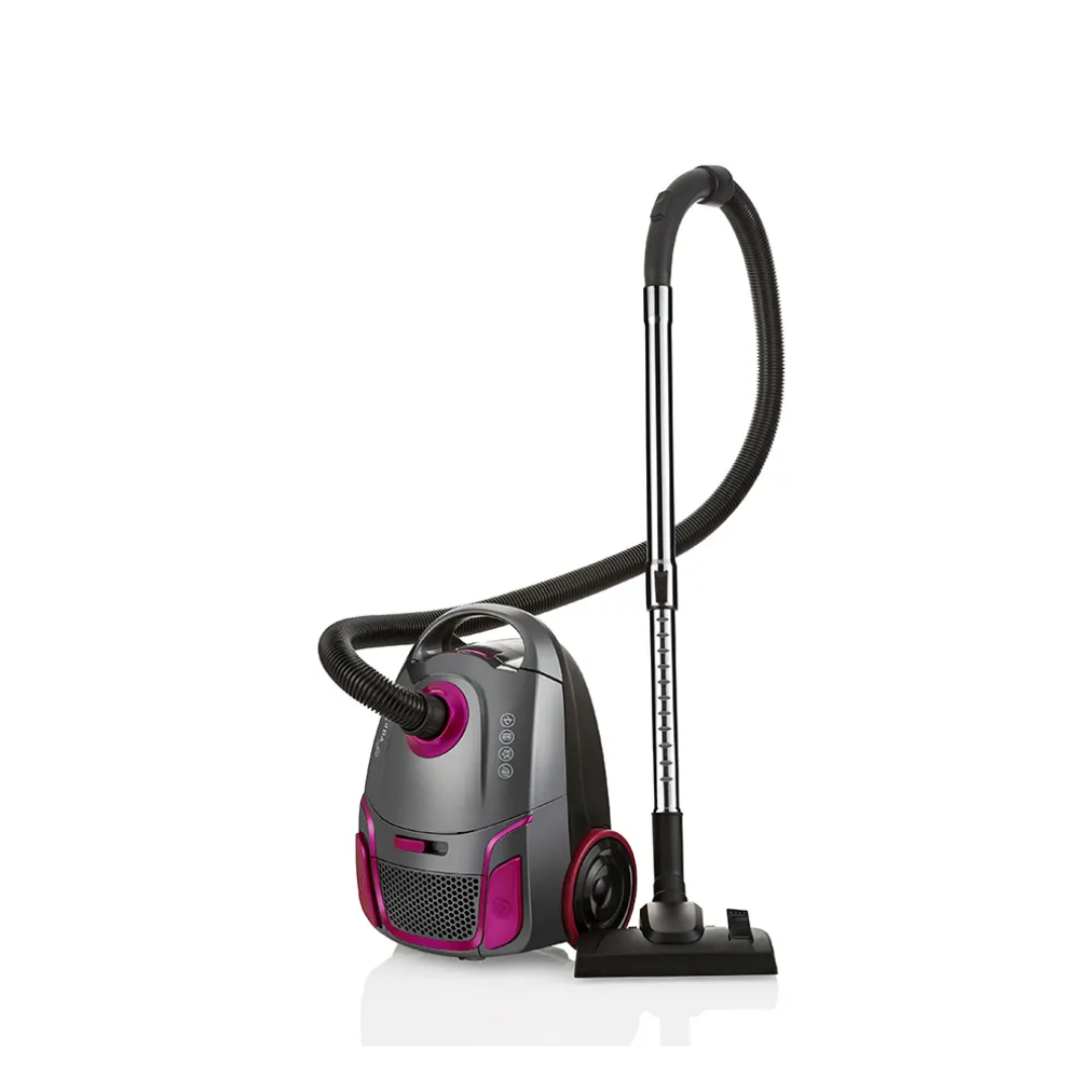 House canister vacuum cleaner