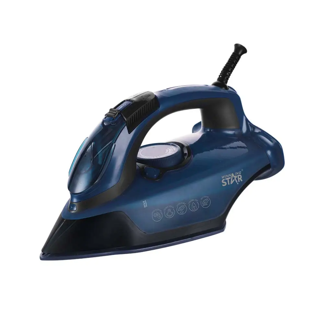 Electric steam iron